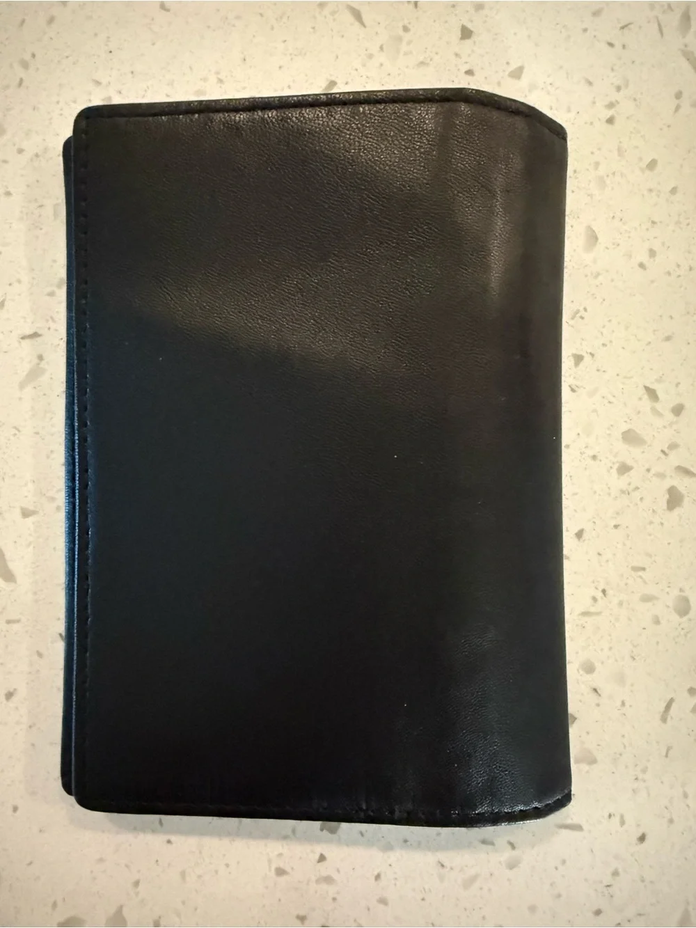 Budd Leather Passport Holder with Pen Slot